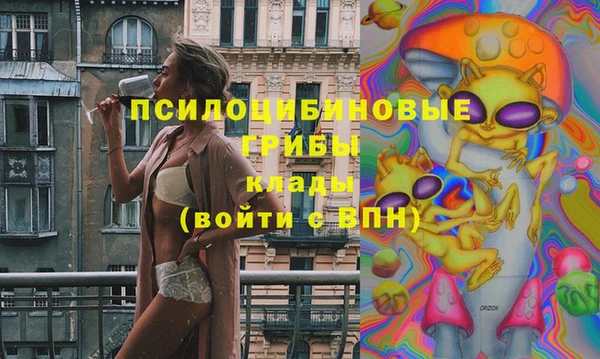 ешки Арсеньев